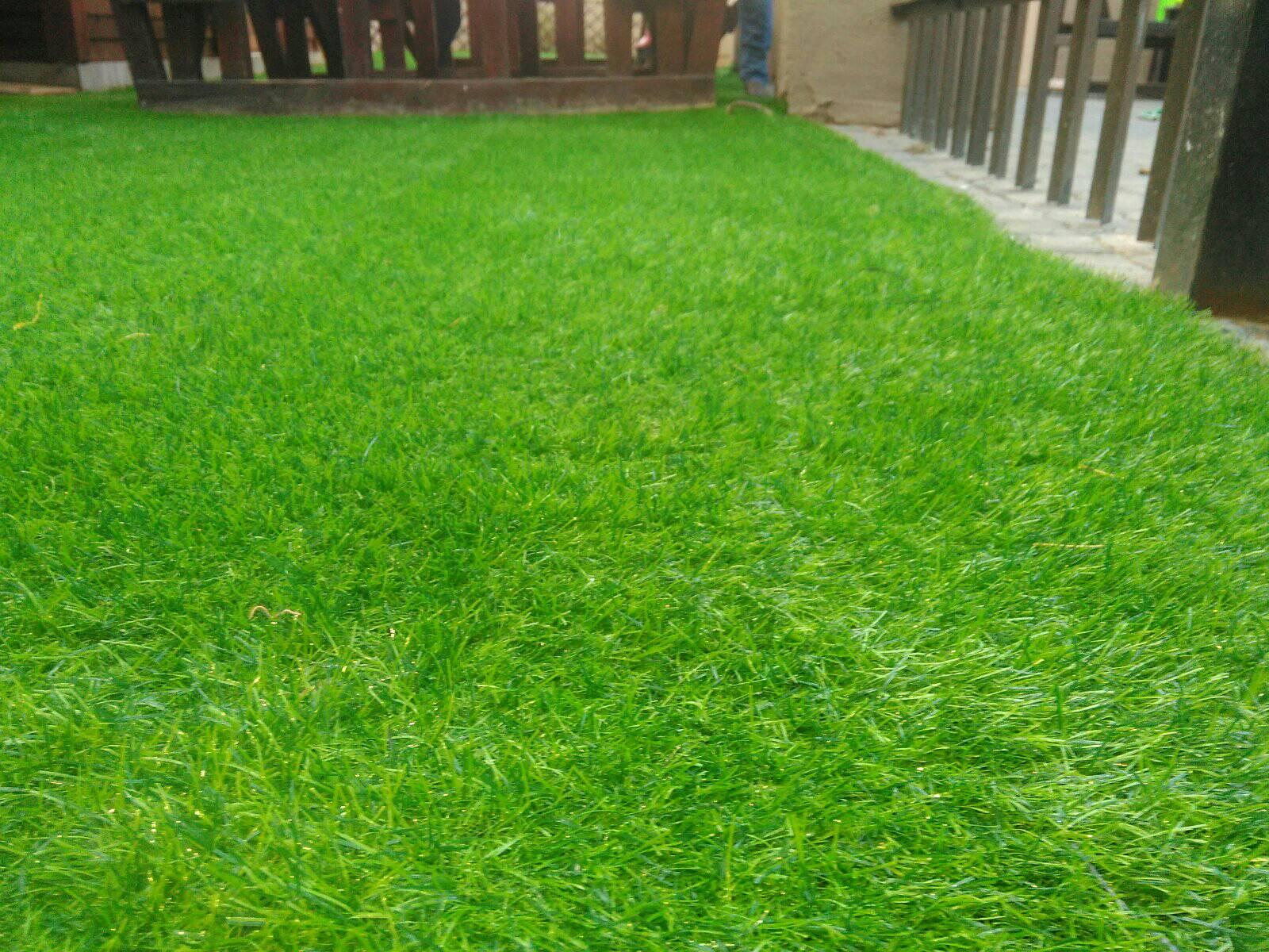 Tamaz Concepts Project — JPG