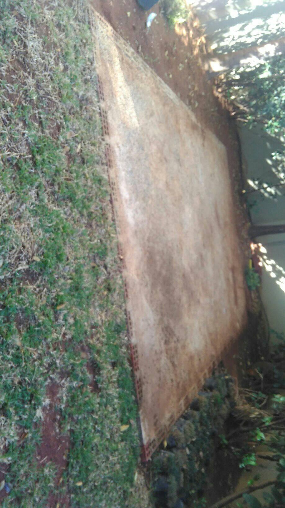 Tamaz Concepts Project — JPG