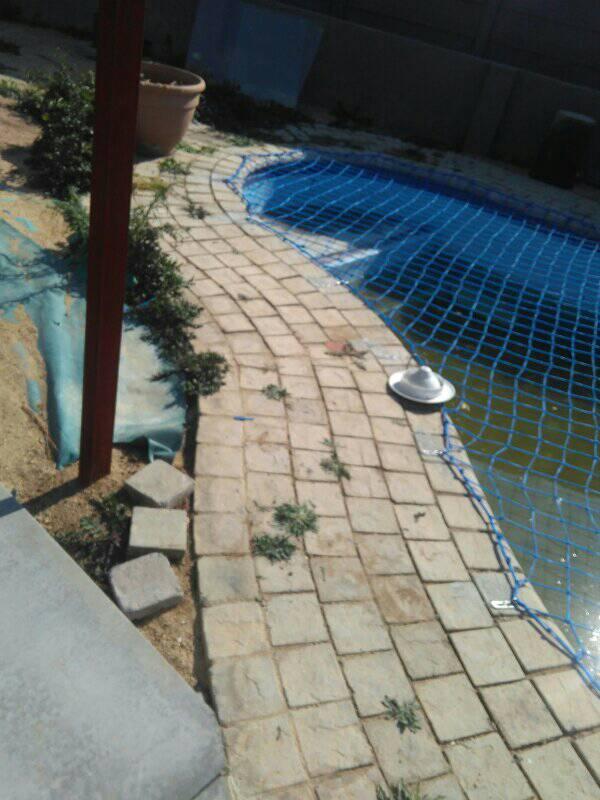 Tamaz Concepts Project — JPG