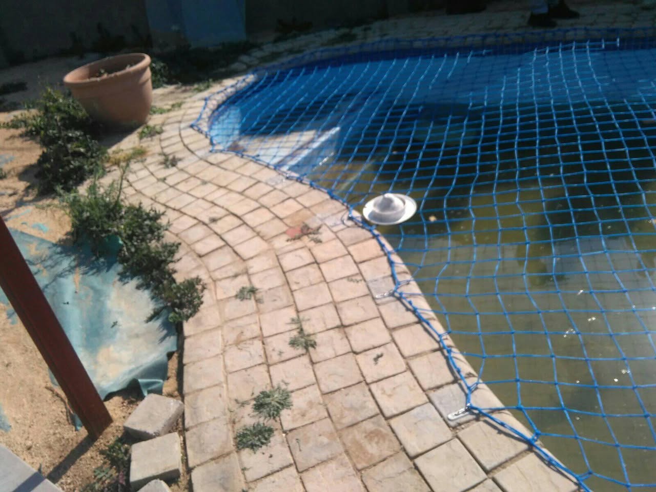 Tamaz Concepts Project — JPG